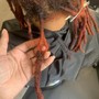 Ear to Neck Retwist NO STYLE  (Full  Head)