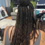 Starter Locs