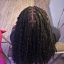 Locs (medium)