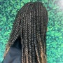 Medium Soft Locs or Passion Twists