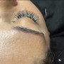 Eyelash Fill