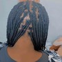 Fulani Braids ($220)