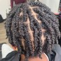 Starter locs