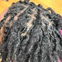 Root Touch Up