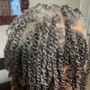 2 Strand Twists