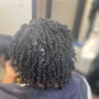 Root Touch Up