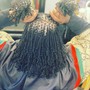 Traditional Starter Locs