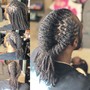 Loc Retwist