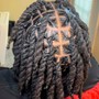 Men's 2strand twists