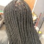 2 strand Twist- Natural Hair