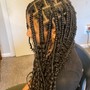 passion twists