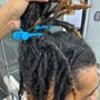 Loc Retwist