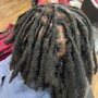 Starter Dreadlocks