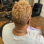 Root Touch Up