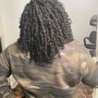 Natural Twist with Extensions