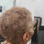 Root Touch Up