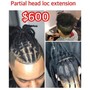 Starter Locs