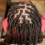 Loc Retwist (0-50 shldr length)