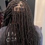 Loc Retwist 0-50(ear length)