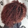 Root Touch Up