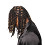 Starter Locs Half of head