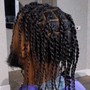 Loc retwist