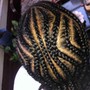 Box Braids