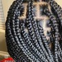 Fulani Braids (Tribal Braids) Medium