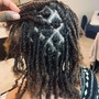 Starter Locs x Two Strand twist method