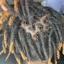 Starter Dreadlocks