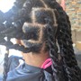 Large senegalese twist long