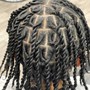 Individual Braids or twists /singles on natural hair