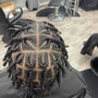 Individual Braids or twists /singles on natural hair