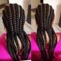 Individual Braids