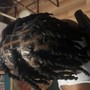 Adult Wash, Retwist & Two/Three Strand Twist