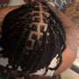 Adult Wash, Retwist & Two/Three Strand Twist