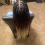 Takedown braids