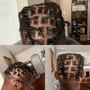 Loc Maintenance whole head