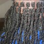 Individual Braids