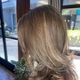 Root Touch Up