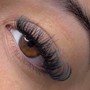 Eyelash Fill