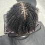 Medium  Kinky Twist shoulder length