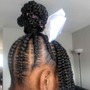 Braided Ponytail