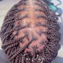 Comb Twist