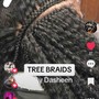 Tree Braids