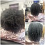 Root Touch Up