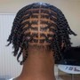 Tree Braids