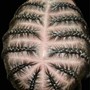 Freestyle Braids