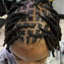 Kid's starter locs