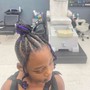 Kid Braided Ponytail